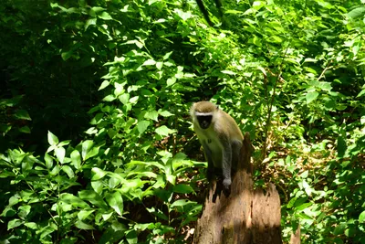 DSC_7891 (Large).JPG